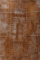 STUCCO ANTICO VENEZIANO �������� ���� ��������