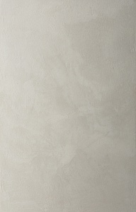 EFFETTO PLATINUM ARGENTO NEUTRO