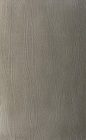 INTONACHINO MEDIUM �������� ������